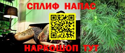 дживик Нальчик