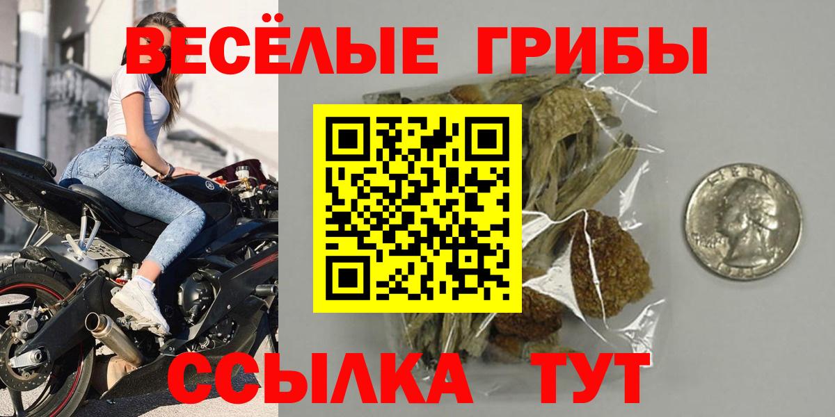 Псилоцибиновые грибы Cubensis  Вход с VPN  Стрежевой 