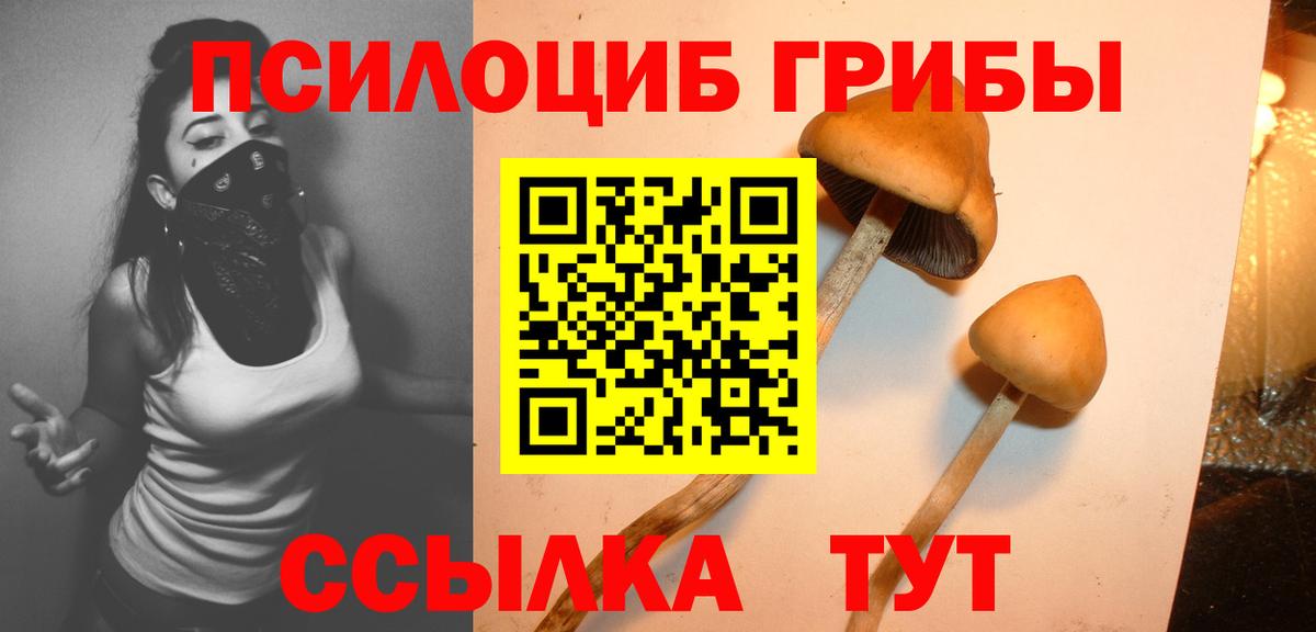 Галлюциногенные грибы Magic Shrooms Стрежевой
